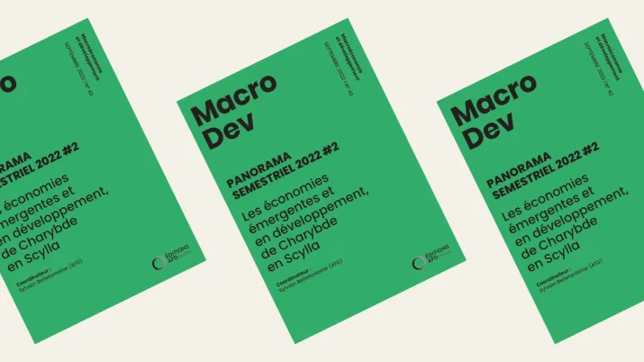 MacroDev Panorama