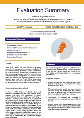 evaluation summary libanon mental health