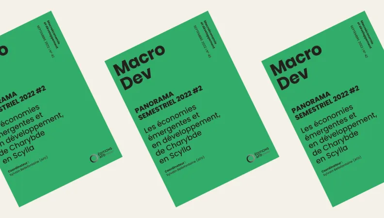 MacroDev Panorama